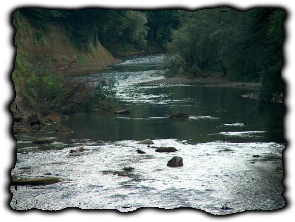 Sarine pres de la Planche