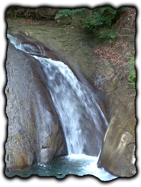 Vallee du Gotteron 1